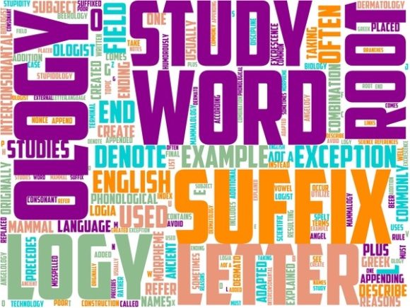 Discover the Beauty of Omphalology Wordart Tshirt.jpg: A Versatile Design for Creative Expression