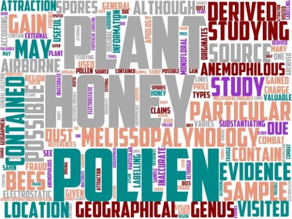 Exploring the Melissopalynology Wordart Background: A Creative Tool for Design and Expression