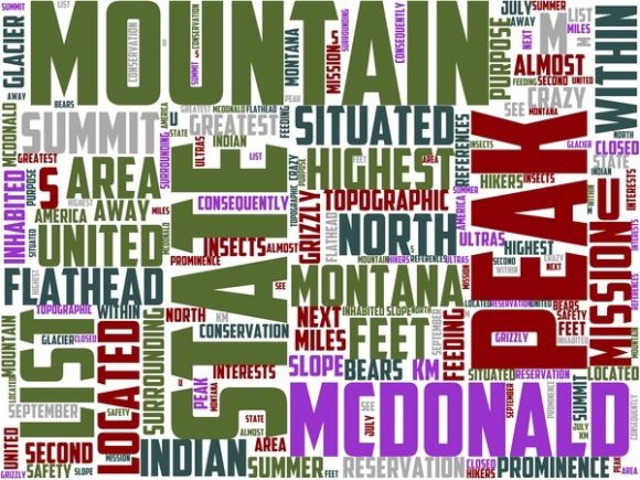 Mcdonald Peak Wordart Skinny Tumbler