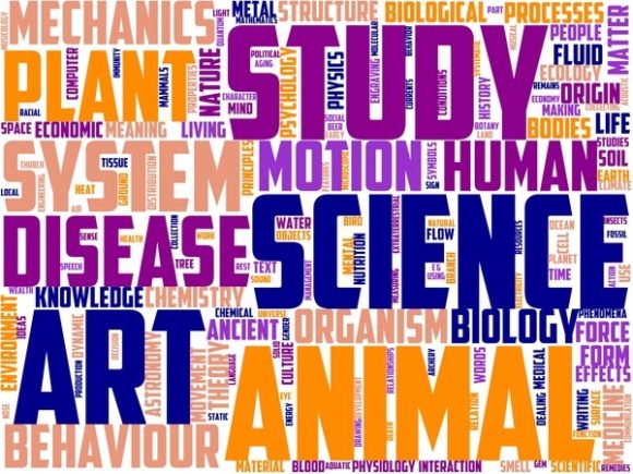 Meconology Wordart Banner