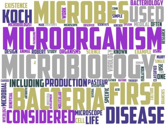 Microbiology Wordart Sticker: A Creative Tool for Inspiration and Design