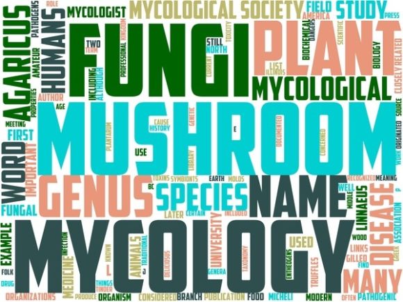 MyCology Wordart Tshirt
