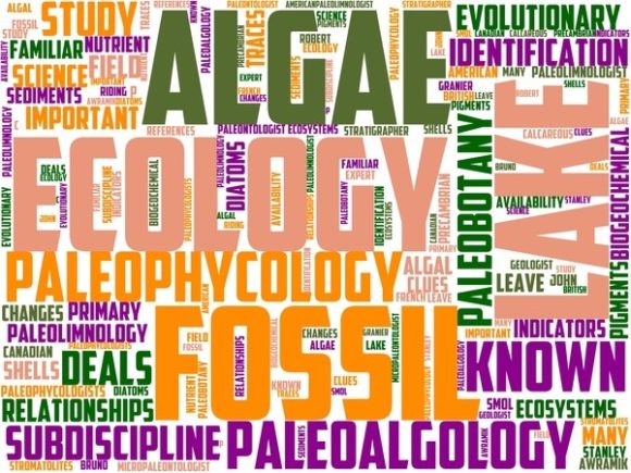 Paleoalgology Wordart Background