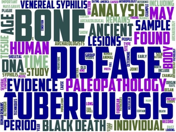 Paleopathology Wordart Book Cover