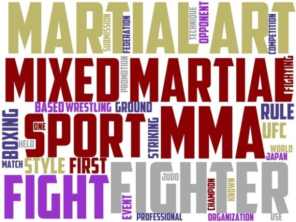 Transforming Mixed Martial Arts with Wordart Sublimation: A Creative Fusion for Design and Expression